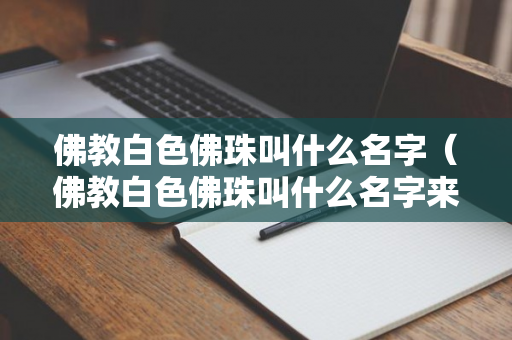 佛教白色佛珠叫什么名字（佛教白色佛珠叫什么名字来着）