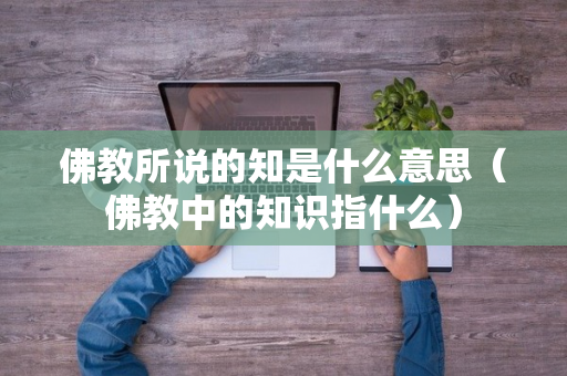 佛教所说的知是什么意思（佛教中的知识指什么）