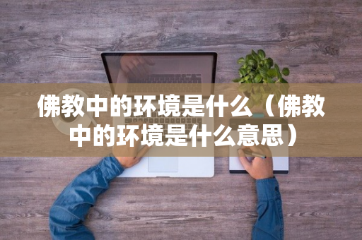 佛教中的环境是什么（佛教中的环境是什么意思）