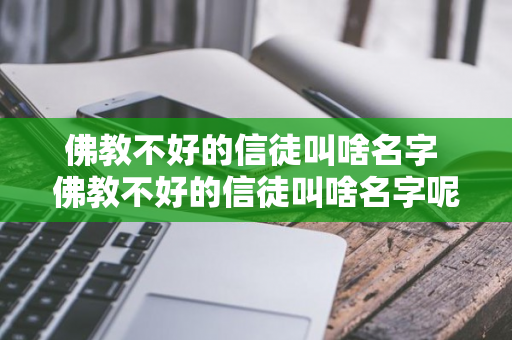 佛教不好的信徒叫啥名字 佛教不好的信徒叫啥名字呢