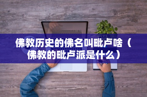 佛教历史的佛名叫毗卢啥（佛教的毗卢派是什么）