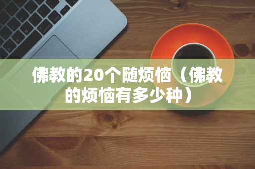 佛教的20个随烦恼（佛教的烦恼有多少种）