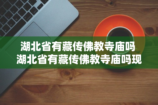 湖北省有藏传佛教寺庙吗 湖北省有藏传佛教寺庙吗现在