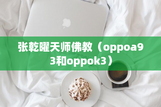 张乾曜天师佛教（oppoa93和oppok3）