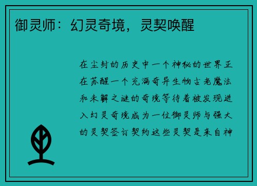 御灵师：幻灵奇境，灵契唤醒