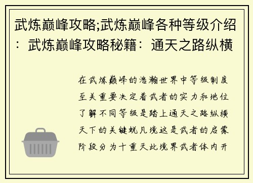 武炼巅峰攻略;武炼巅峰各种等级介绍：武炼巅峰攻略秘籍：通天之路纵横天下